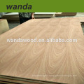 Okoume/Bintangor/Keruing/birch/white poplar/gedar/pine plywood,furniture/decoration grade plywood